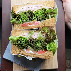 Demo Sandwich